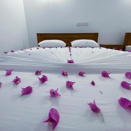 Yala Safari Green Home Stay ทิซซามาฮารามา ภายนอก รูปภาพ
