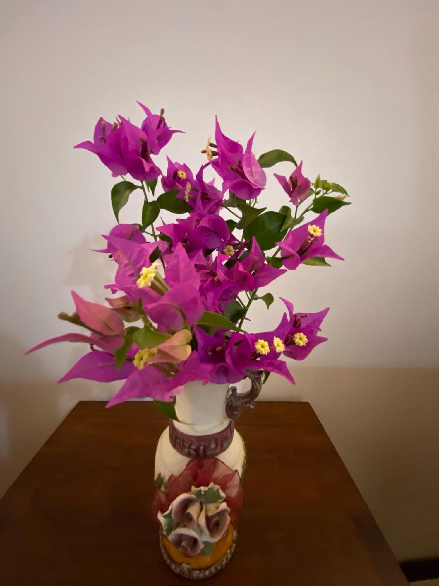 Yala Safari Green Home Stay ทิซซามาฮารามา ภายนอก รูปภาพ